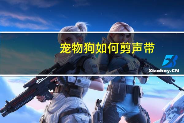 宠物狗如何剪声带