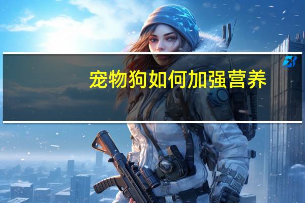 宠物狗如何加强营养