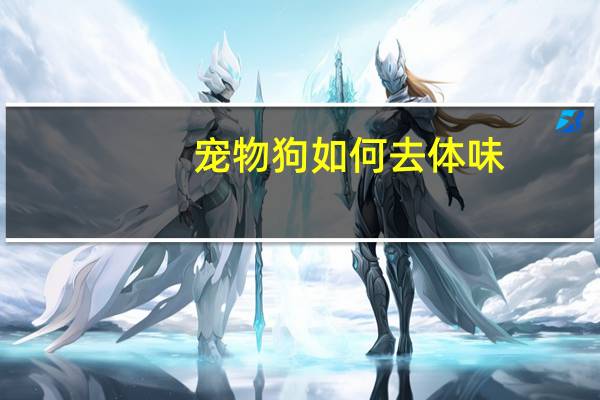 宠物狗如何去体味