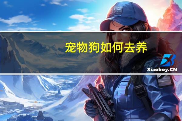 宠物狗如何去养