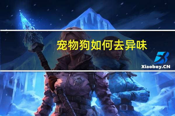 宠物狗如何去异味