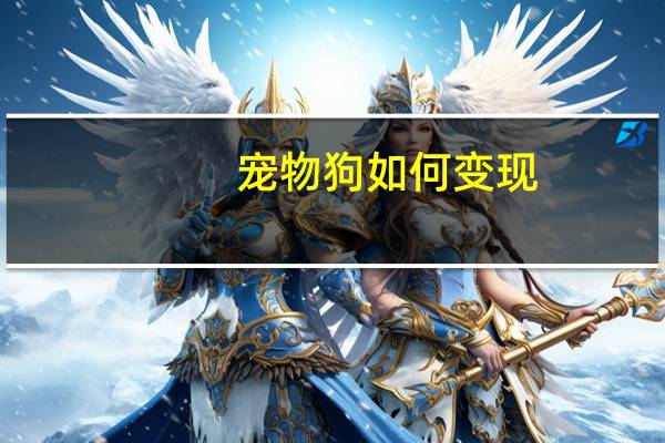 宠物狗如何变现
