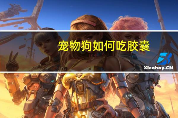 宠物狗如何吃胶囊