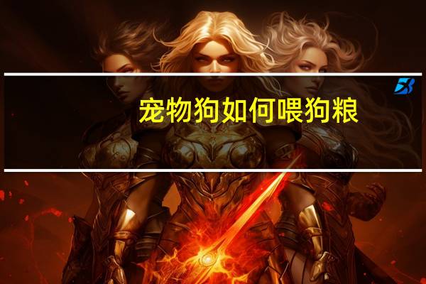 宠物狗如何喂狗粮