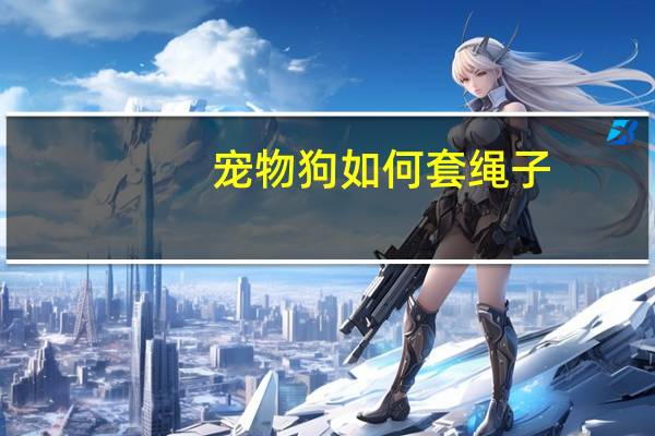 宠物狗如何套绳子
