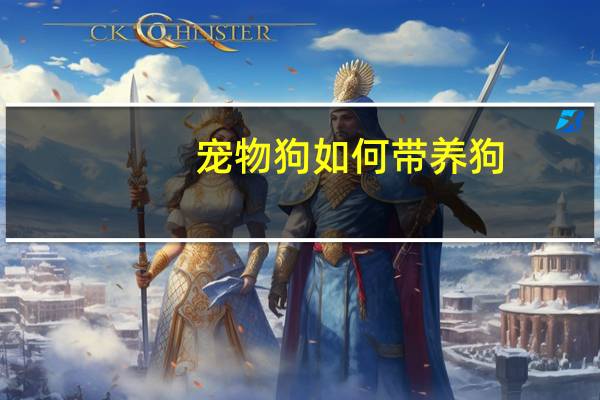 宠物狗如何带养狗