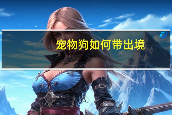 宠物狗如何带出境