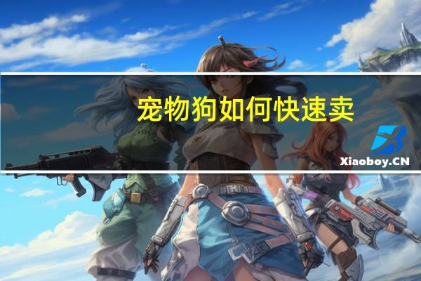 宠物狗如何快速卖