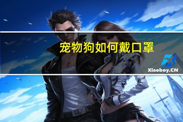 宠物狗如何戴口罩