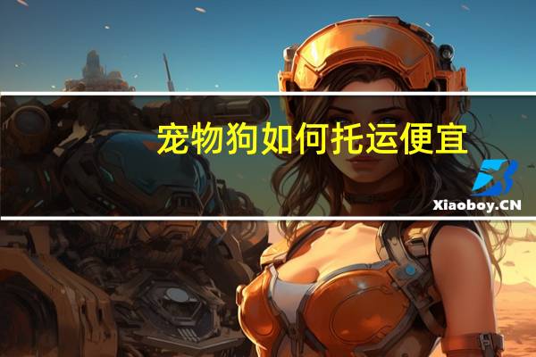 宠物狗如何托运便宜
