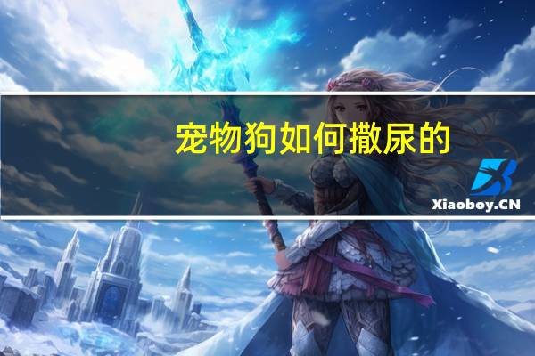 宠物狗如何撒尿的