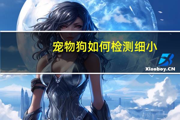 宠物狗如何检测细小