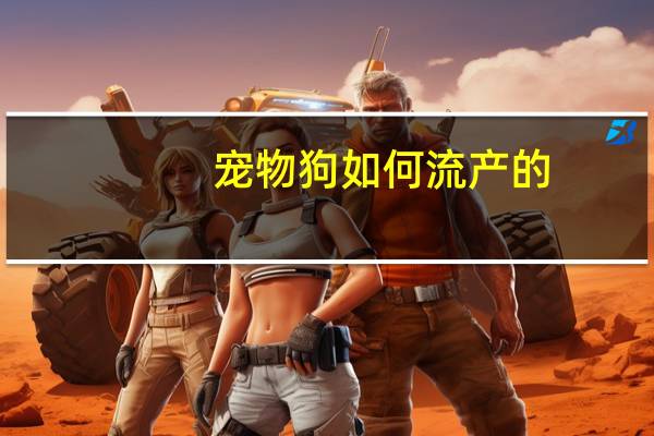 宠物狗如何流产的