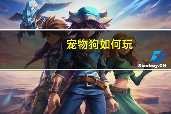 宠物狗如何玩