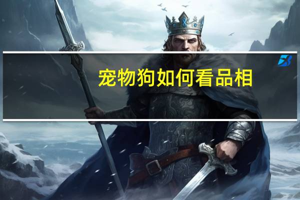 宠物狗如何看品相