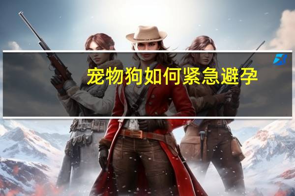 宠物狗如何紧急避孕