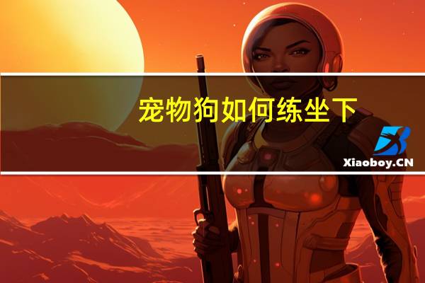 宠物狗如何练坐下