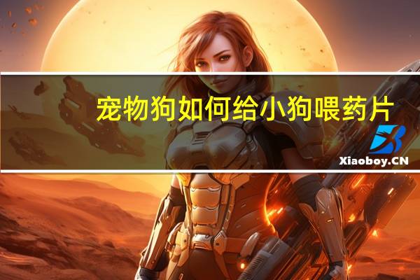 宠物狗如何给小狗喂药片