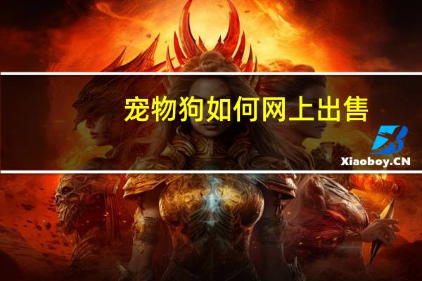 宠物狗如何网上出售