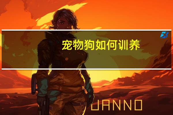 宠物狗如何训养