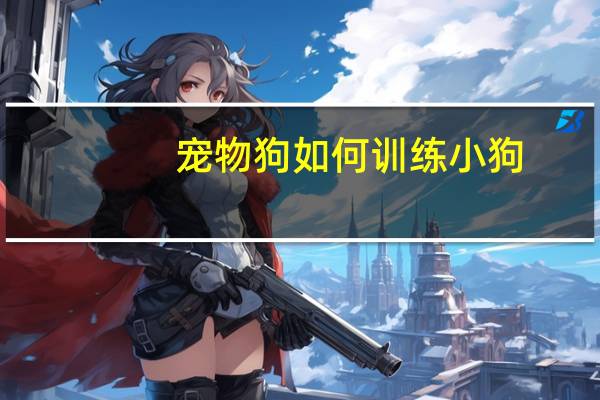 宠物狗如何训练小狗