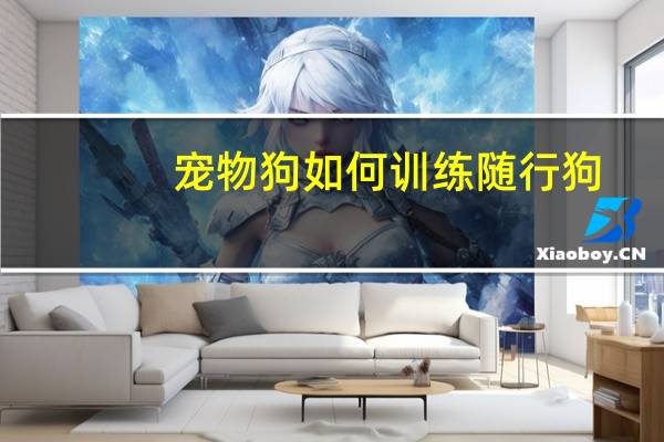 宠物狗如何训练随行狗