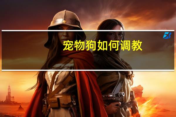 宠物狗如何调教