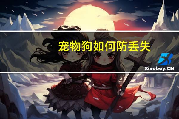 宠物狗如何防丢失