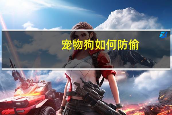 宠物狗如何防偷