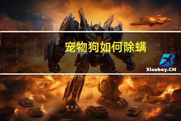 宠物狗如何除螨