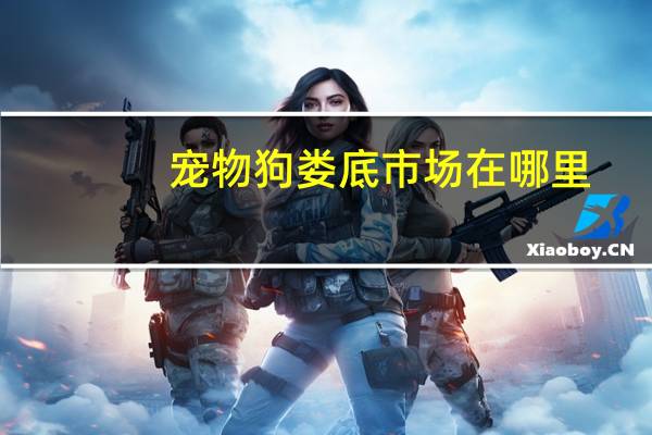 宠物狗娄底市场在哪里
