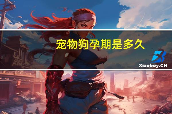 宠物狗孕期是多久