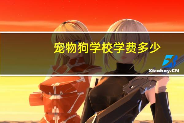 宠物狗学校学费多少