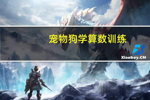 宠物狗学算数训练