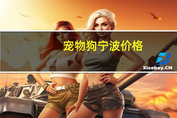 宠物狗宁波价格
