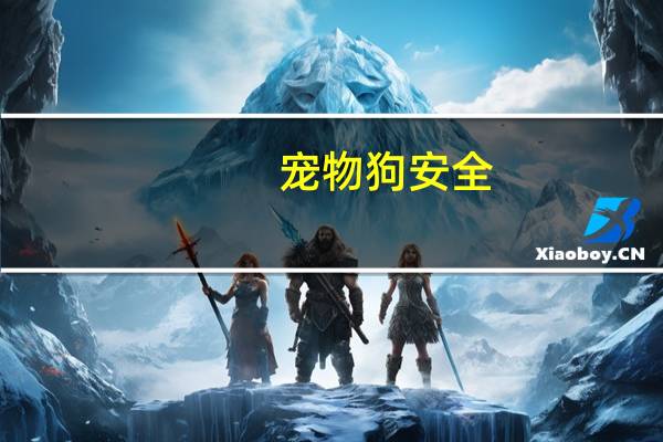 宠物狗安全