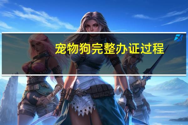 宠物狗完整办证过程