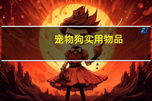 宠物狗实用物品