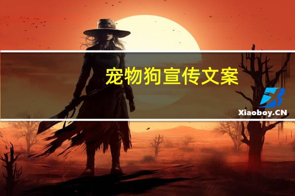 宠物狗宣传文案