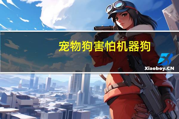 宠物狗害怕机器狗