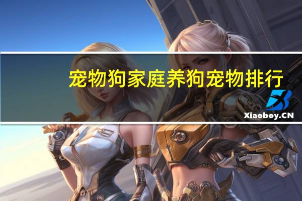 宠物狗家庭养狗宠物排行
