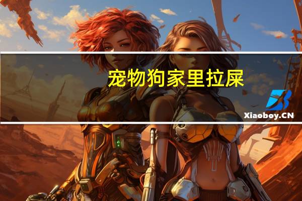 宠物狗家里拉屎