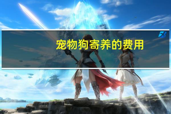 宠物狗寄养的费用