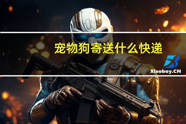宠物狗寄送什么快递