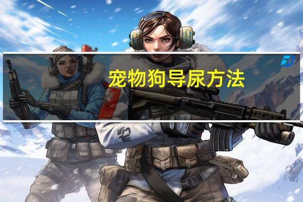 宠物狗导尿方法