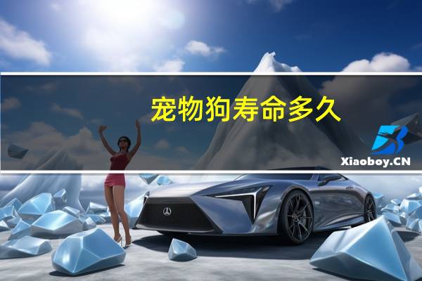 宠物狗寿命多久