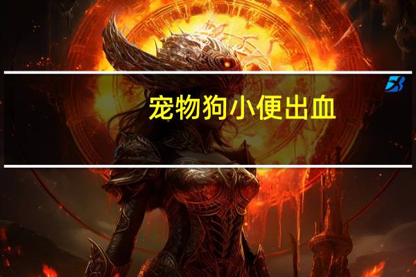宠物狗小便出血