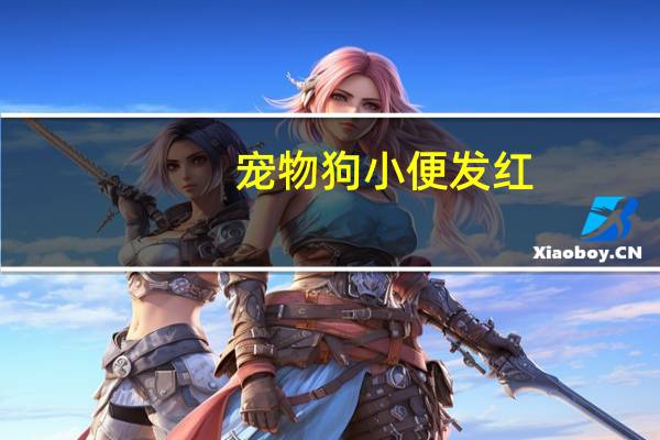 宠物狗小便发红