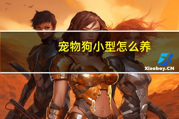 宠物狗小型怎么养