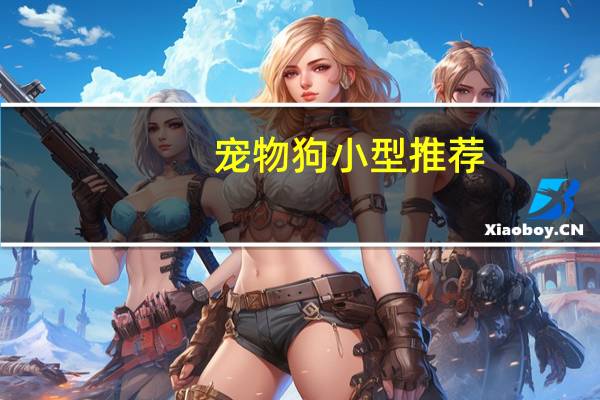 宠物狗小型推荐